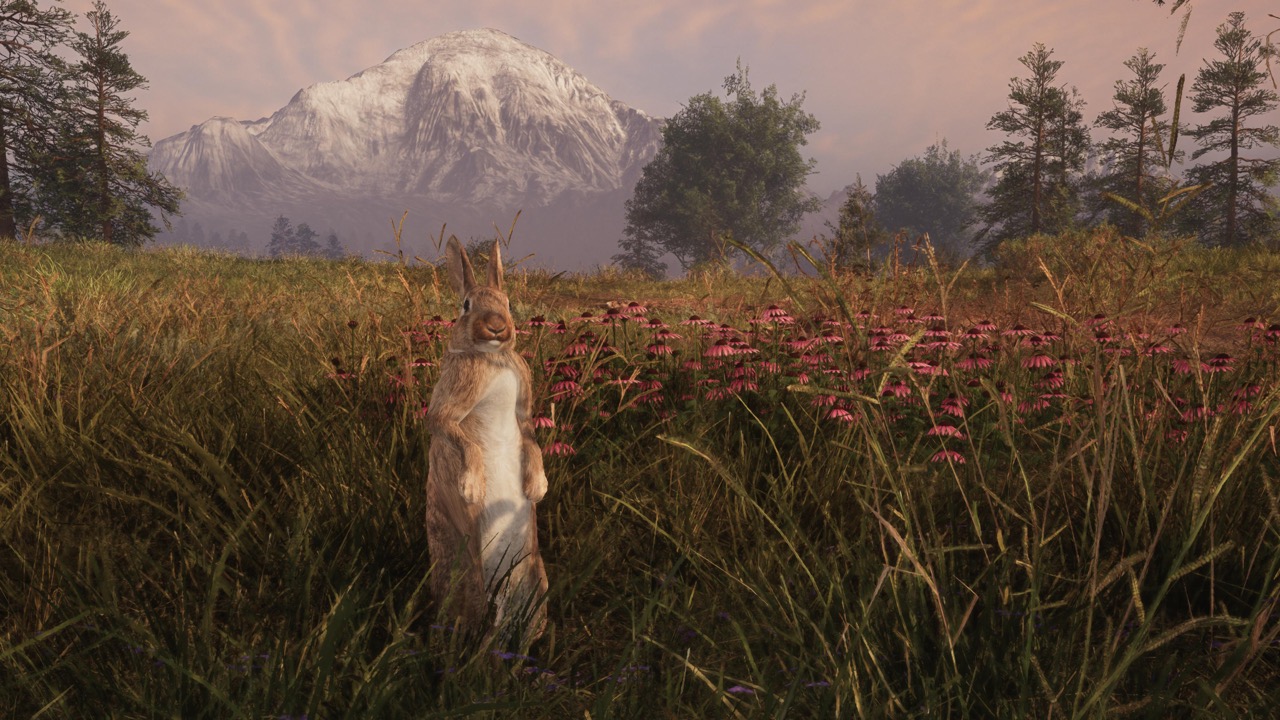 An image showcasing the game described in this article.